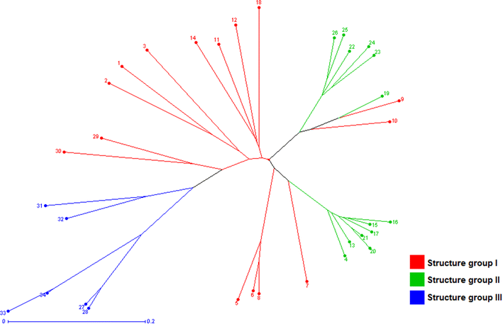 Fig. 2