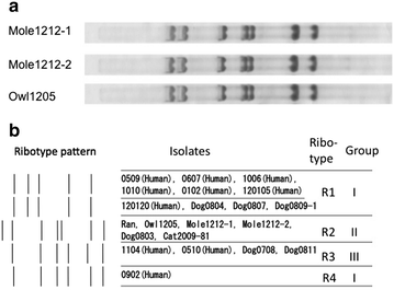 Fig. 2