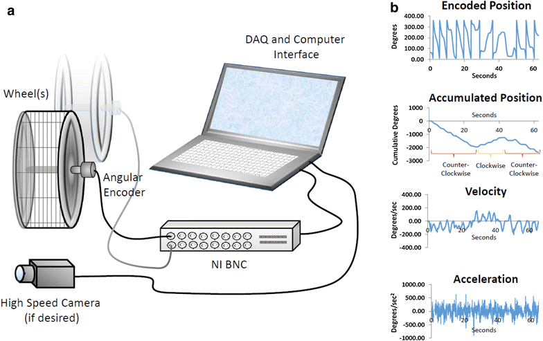 Fig. 1