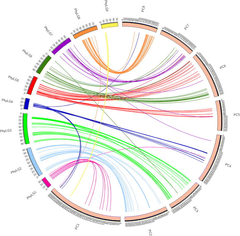 Fig. 2