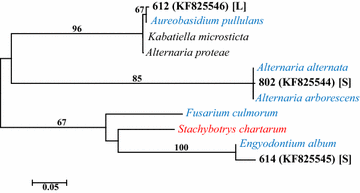 Fig. 2