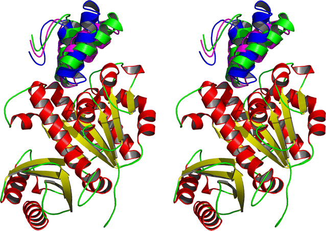 Fig. 5