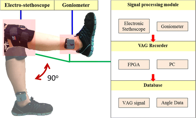 Fig. 1