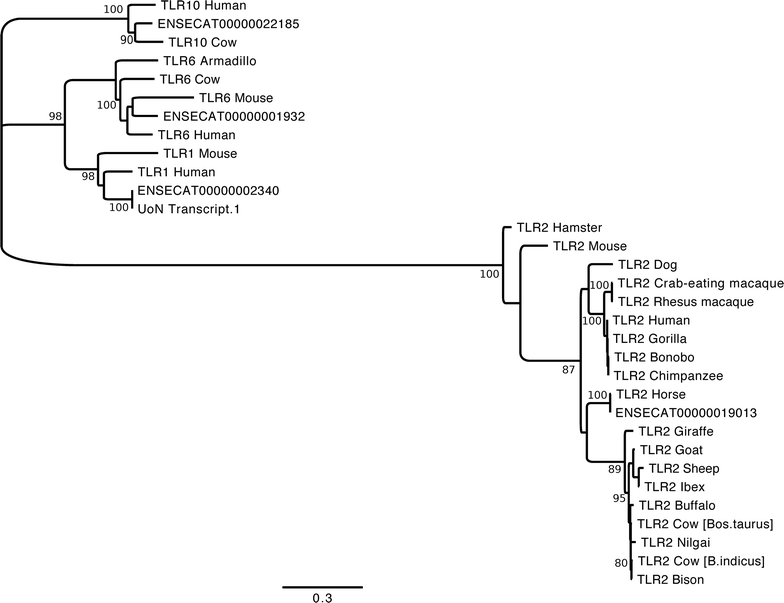 Fig. 1