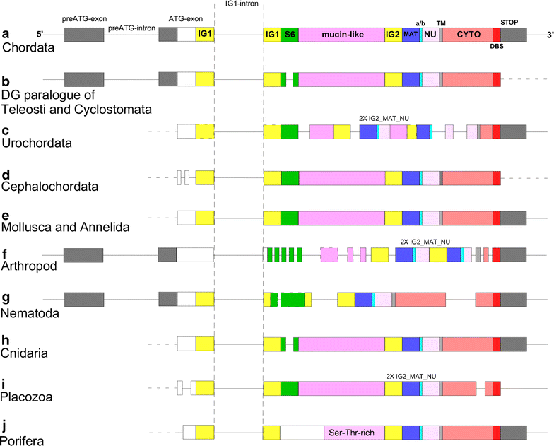 Fig. 1