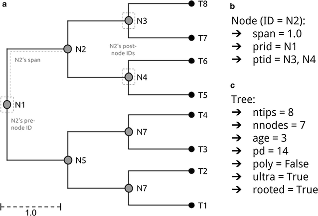 Fig. 1