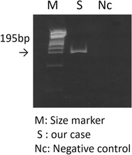 Fig. 3