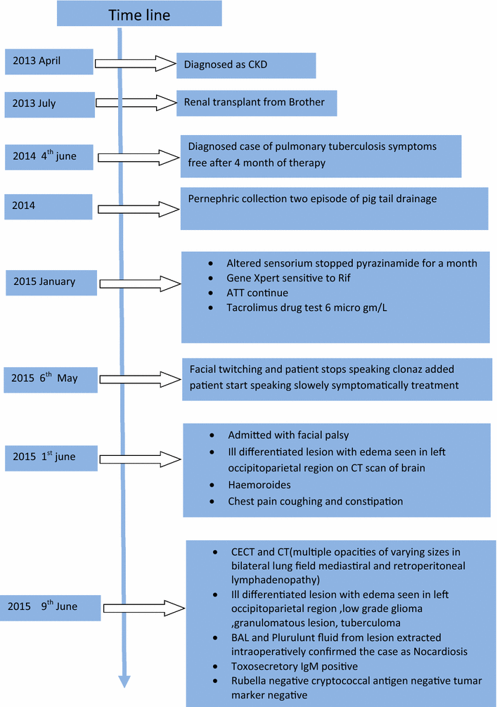 Fig. 8