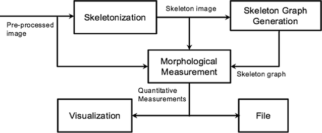 Fig. 3