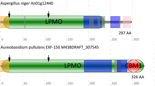 Fig. 4