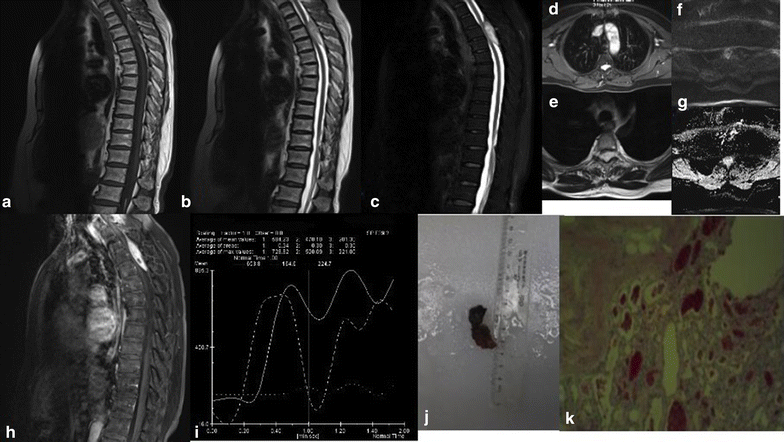 Fig. 2