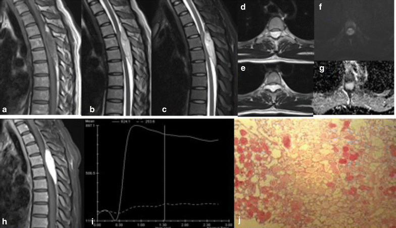 Fig. 3