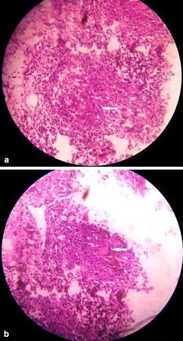 Fig. 3