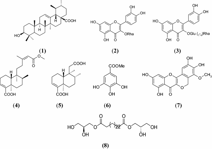 Fig. 1