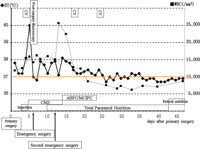 Fig. 1