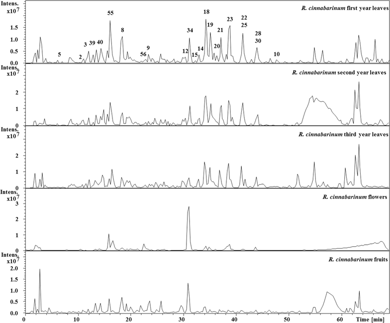 Fig. 2