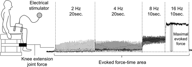 Fig. 1