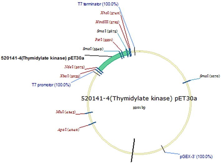 Fig. 3