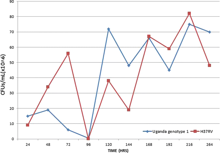 Fig. 7