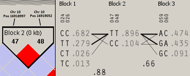 Fig. 10