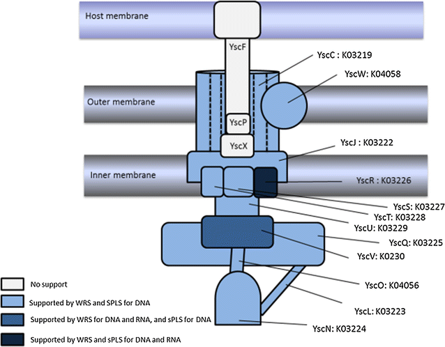 Fig. 6