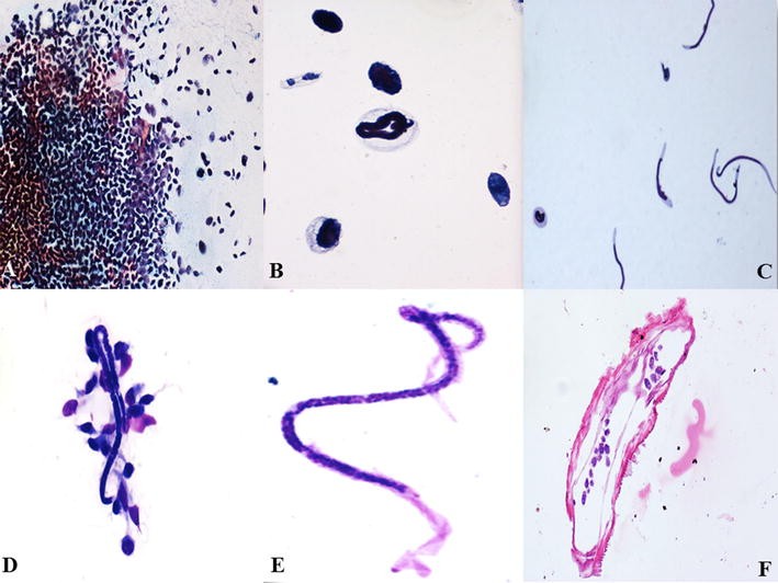 Fig. 3