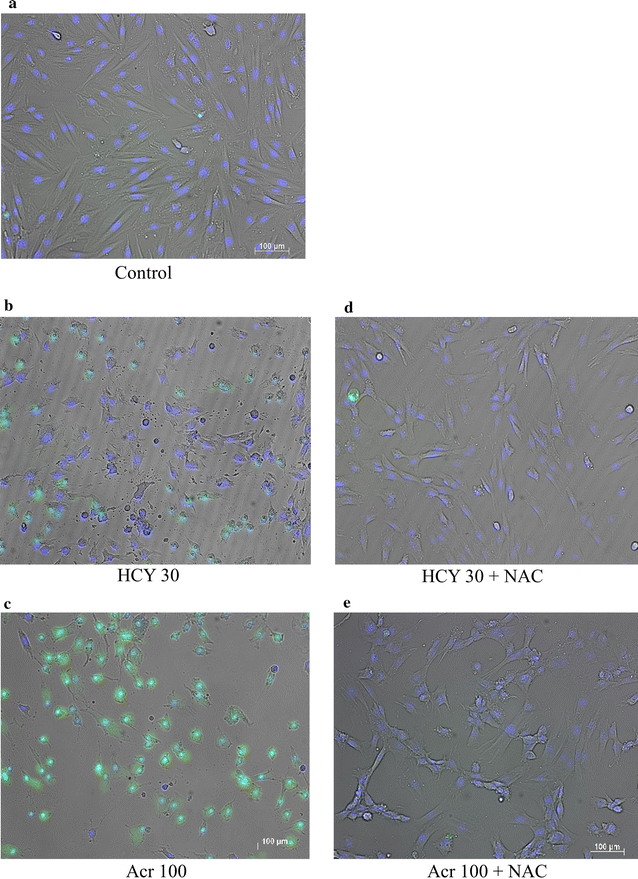 Fig. 4