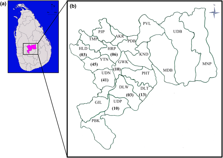 Fig. 2