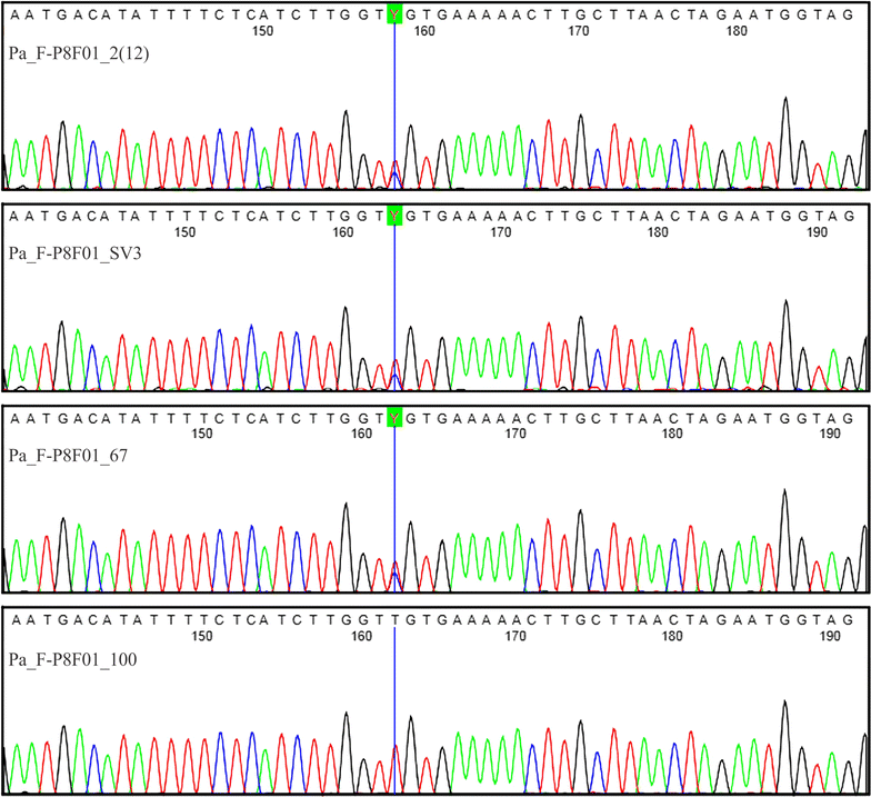 Fig. 4