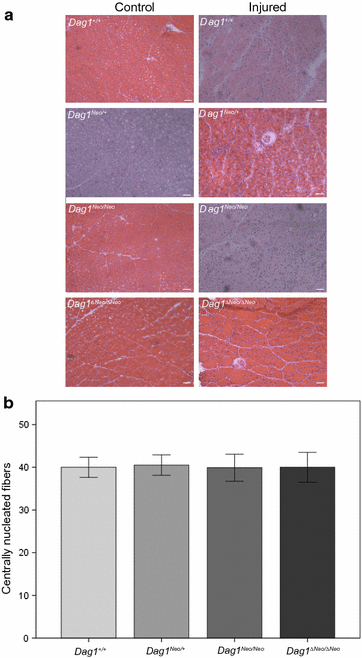 Fig. 7