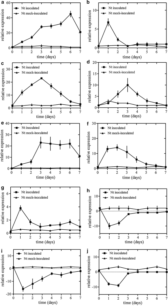 Fig. 2