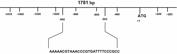 Fig. 1