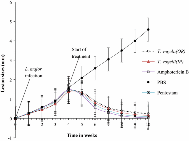 Fig. 4