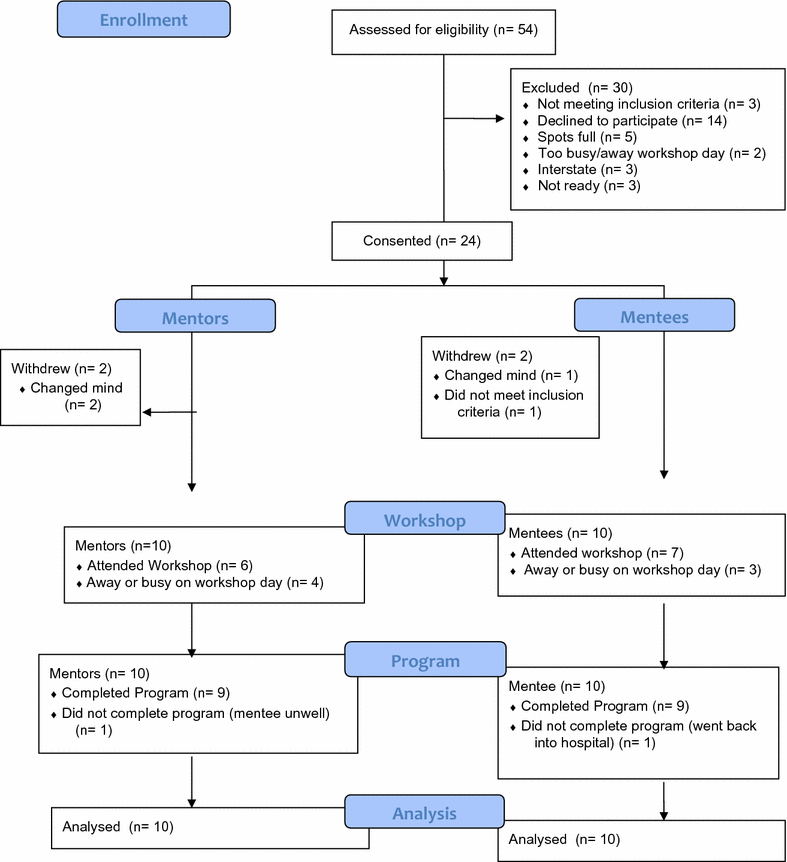 Fig. 1