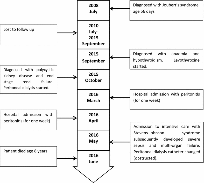 Fig. 3