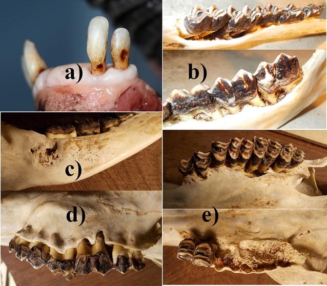 Fig. 3