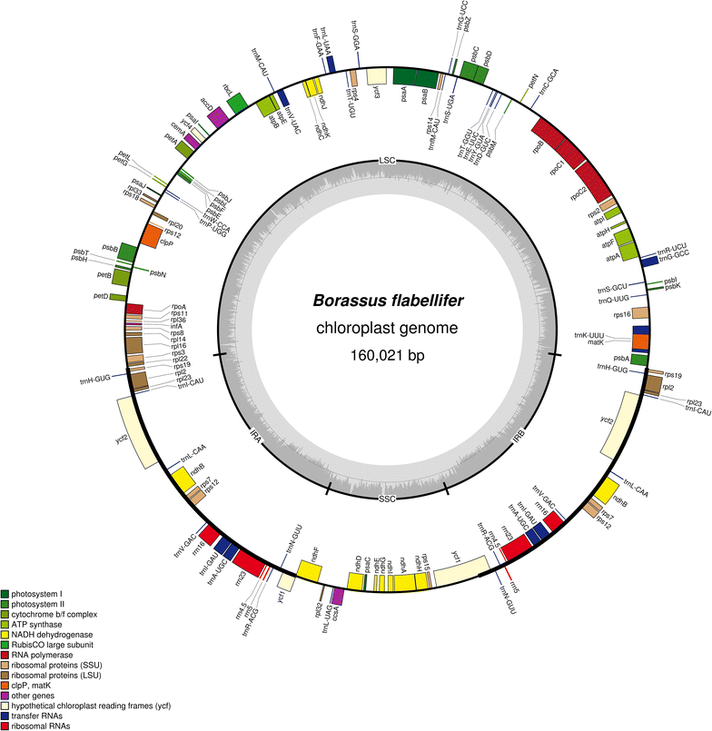 Fig. 1