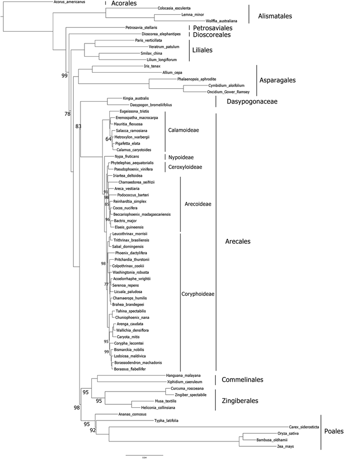 Fig. 3