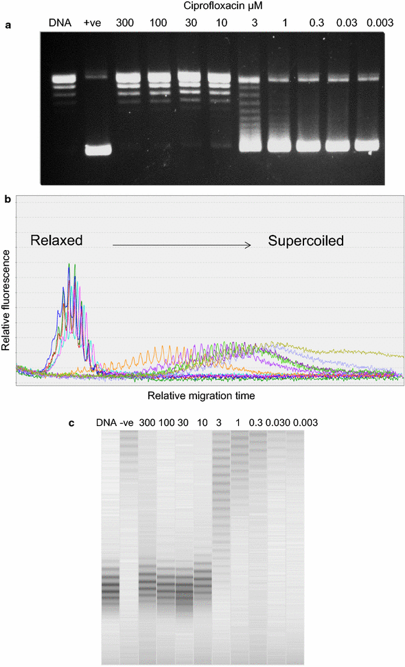 Fig. 3