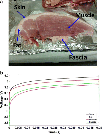 Fig. 3