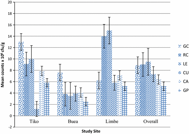 Fig. 1