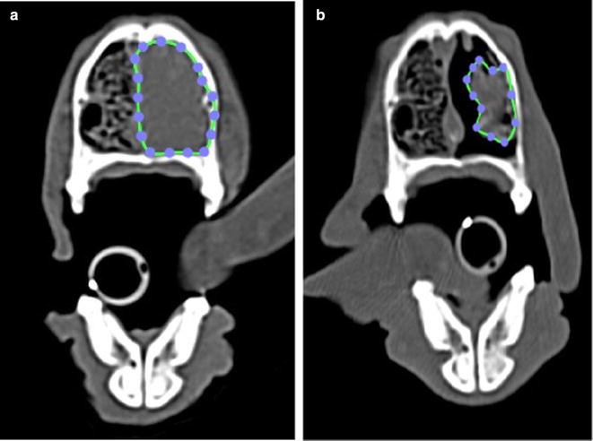 Fig. 1