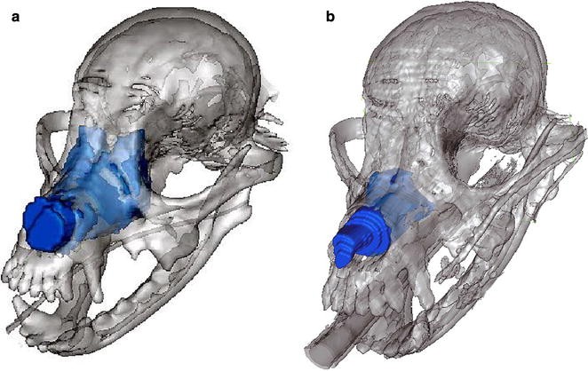 Fig. 2