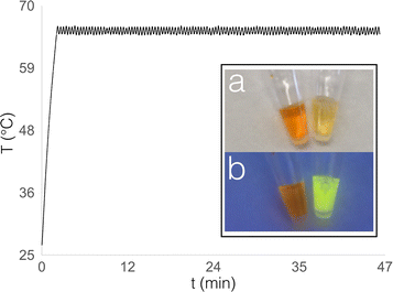 Fig. 1