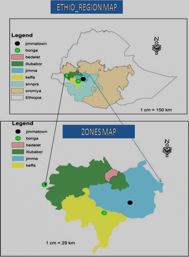 Fig. 1