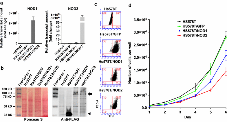 Fig. 2