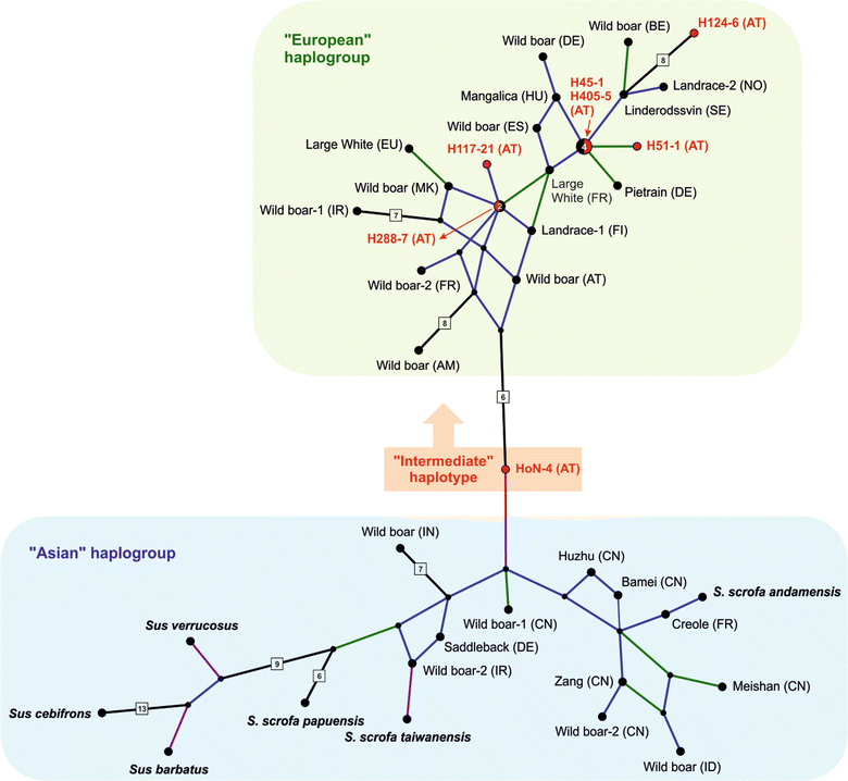 Fig. 1