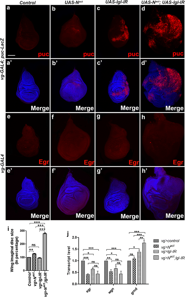 Fig. 2