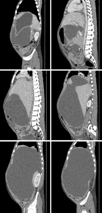 Fig. 3