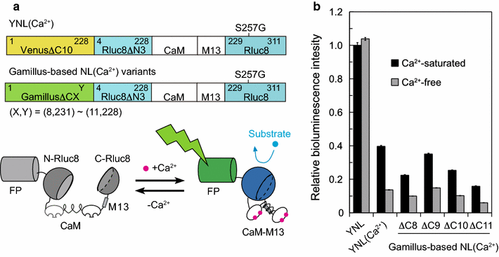 Fig. 1